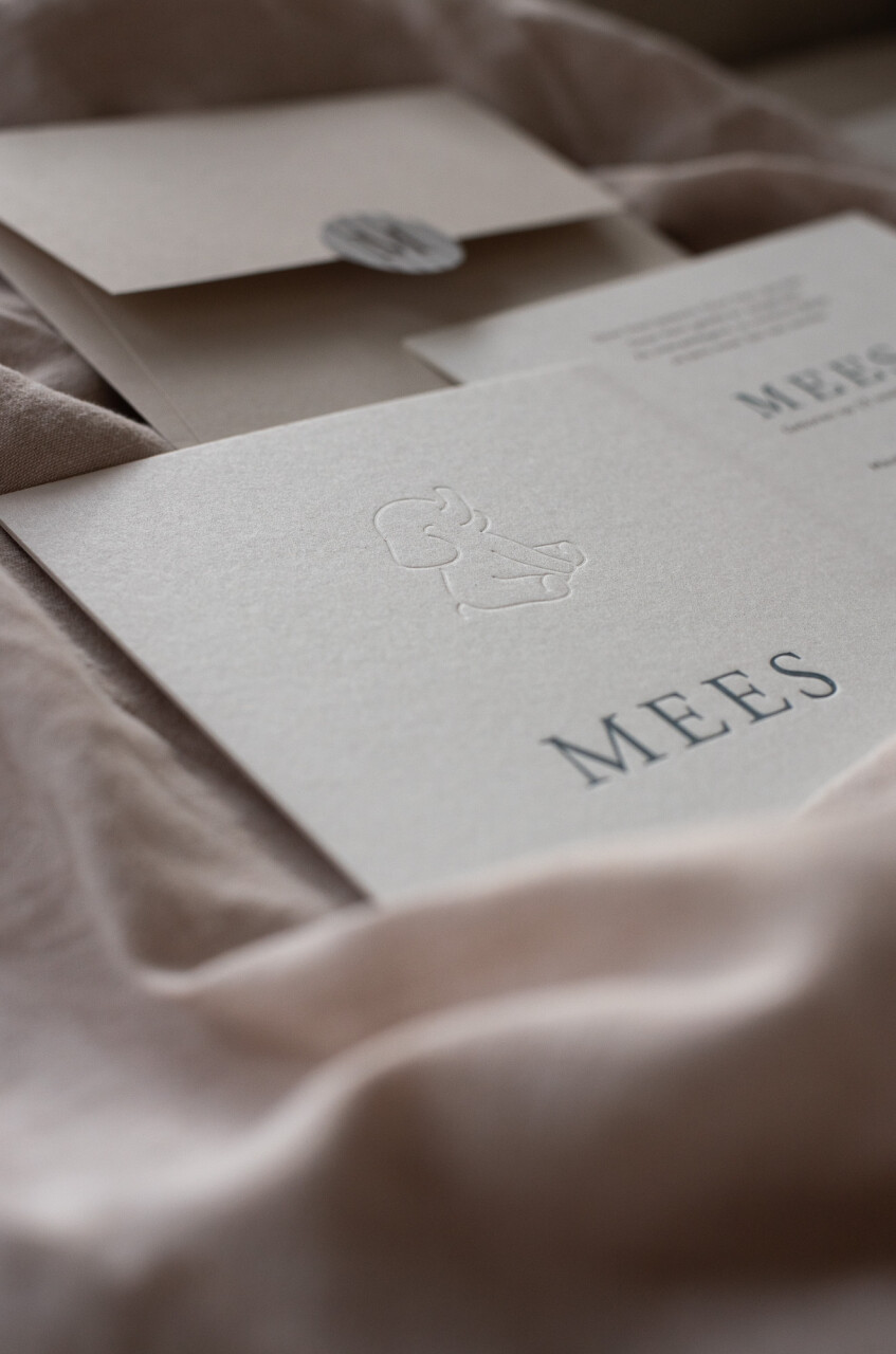 Geboortekaartje Mees letterpress olifantje 12